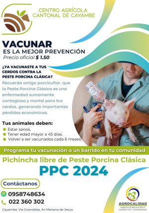 PPC 2024